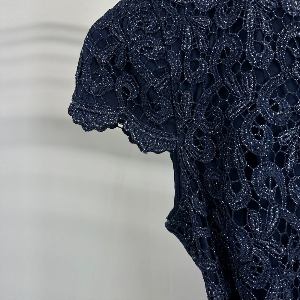 Suzi Chin for Maggy Boutique Navy Blue Lace & Taffeta Fit & Flare Cocktail Dress - Picture 6 of 10
